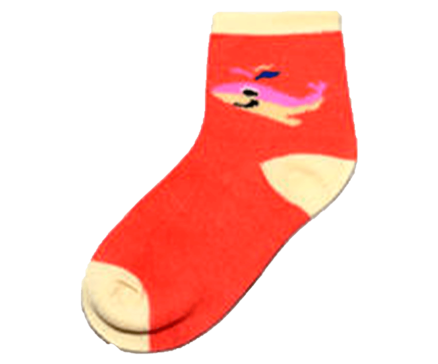 paypoq mayka savdo tashkent narxi