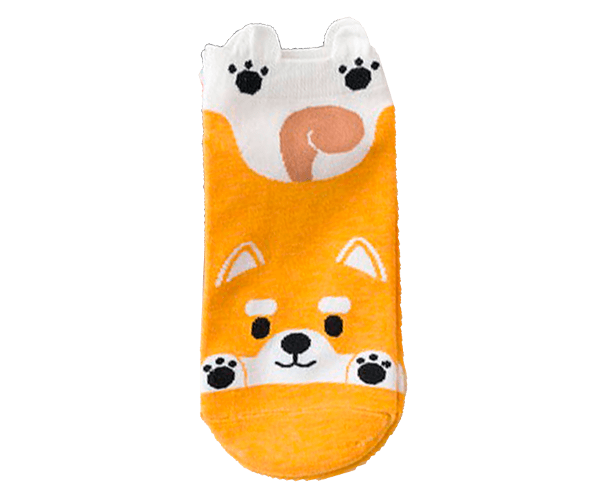 paypoq mayka savdo tashkent narxi