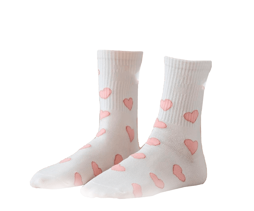 paypoq mayka savdo tashkent narxi