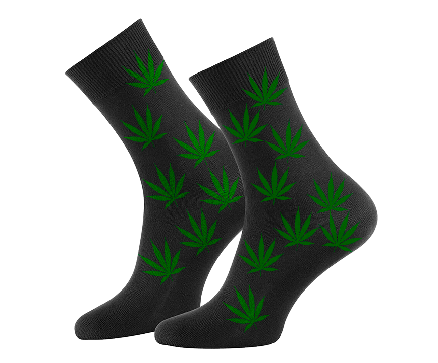 paypoq mayka savdo tashkent narxi