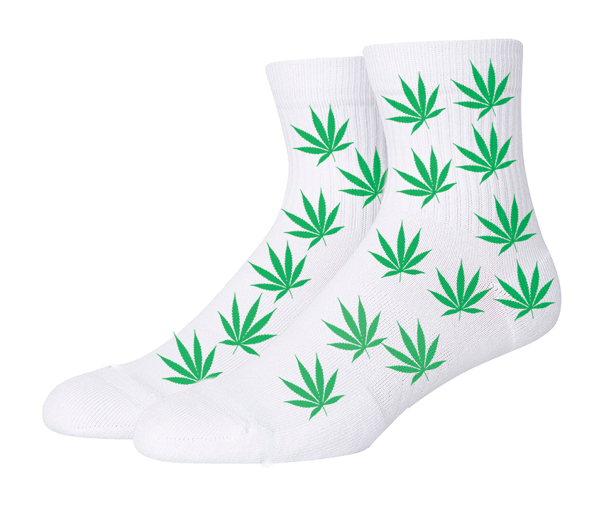 paypoq mayka savdo tashkent narxi