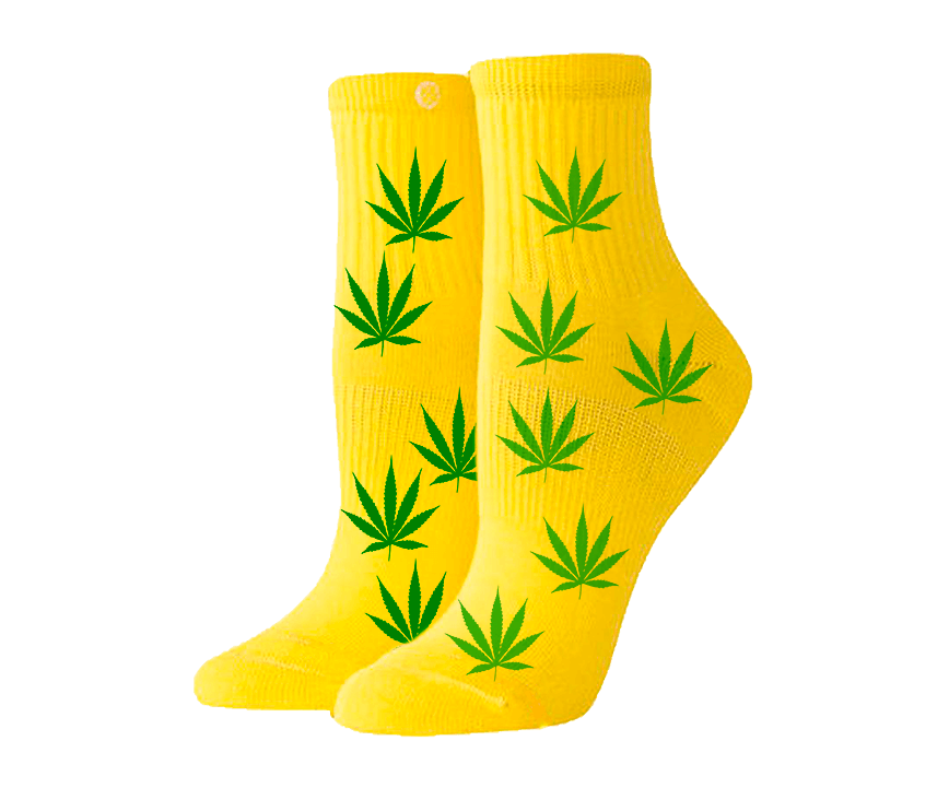 paypoq mayka savdo tashkent narxi